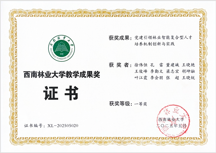 团队1