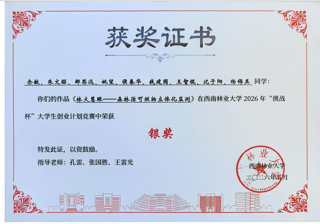 团队3