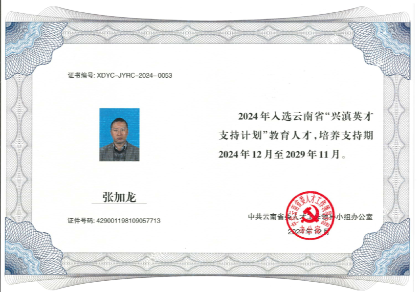 张加龙老师