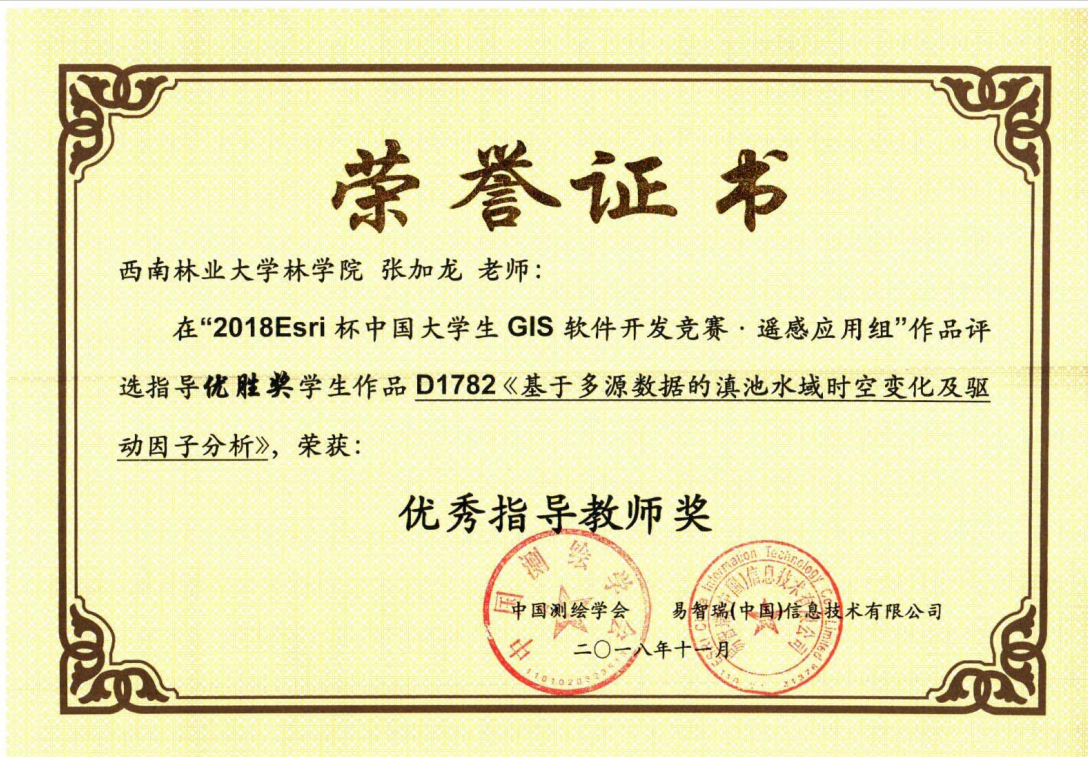 张加龙老师3