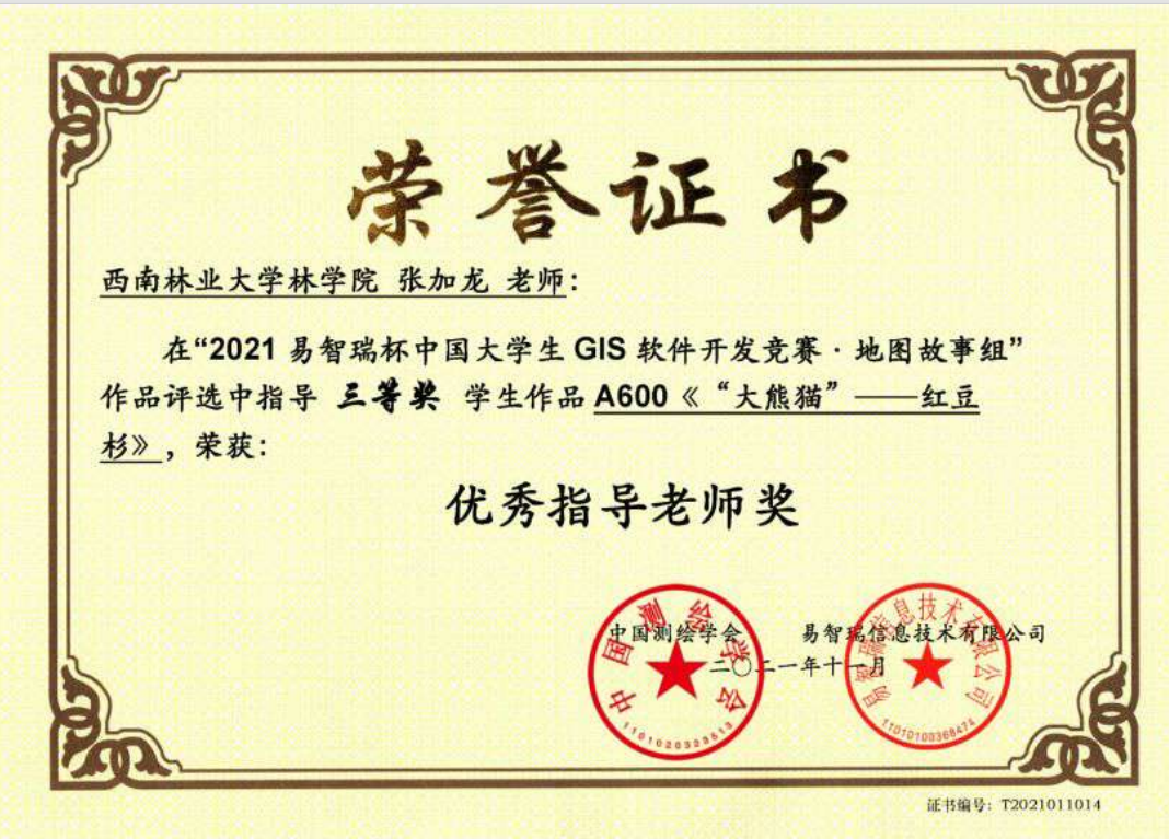 张加龙老师4
